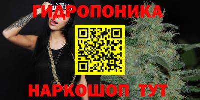 шишки Ангарск